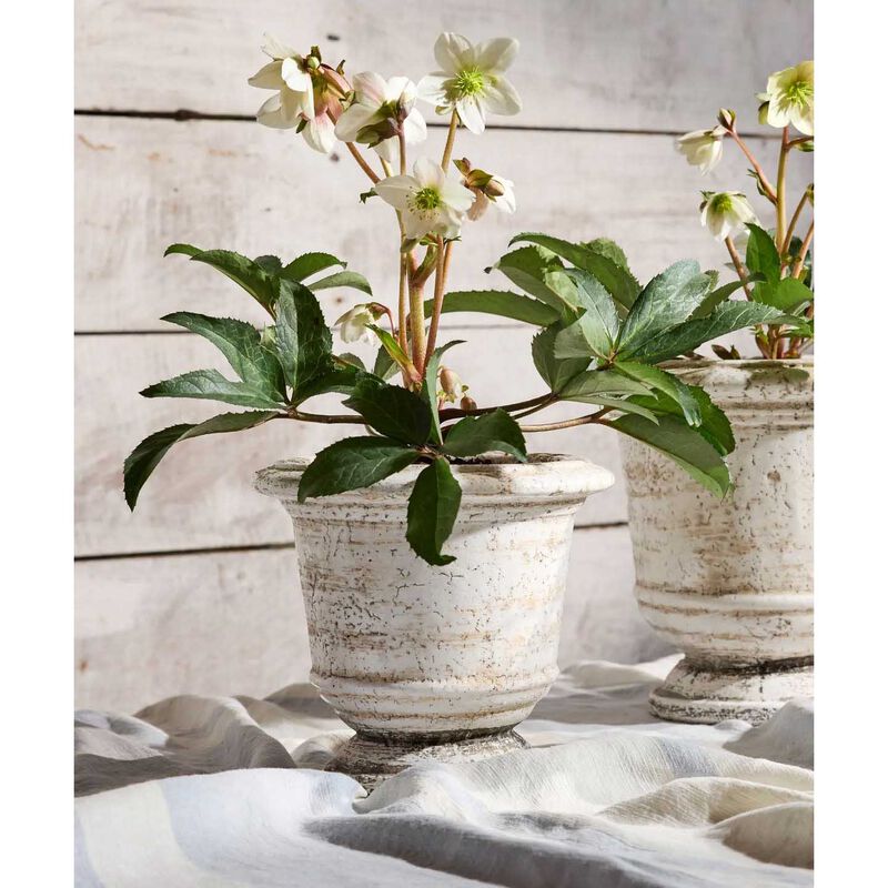 French Country Urn Planter Rustic White Large image number 1